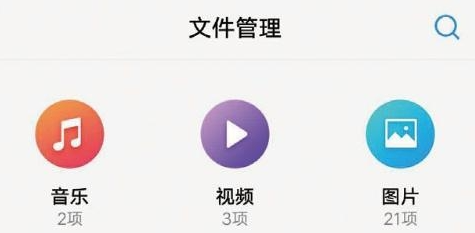 vivoļ°汾(File Manager)