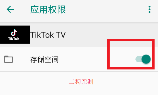 TikTok TV