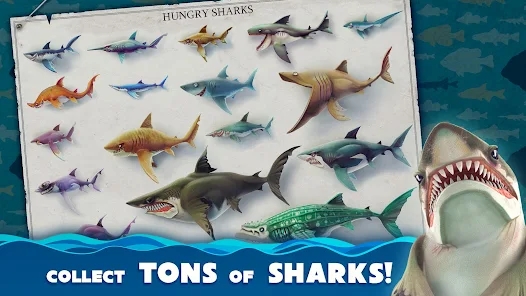 ʷӢİ(Hungry Shark)v6.1.6 ׿ͼ1