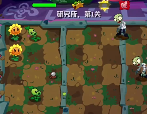PVZ3New Startİ