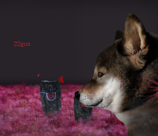 ղ湷ռǰ׿