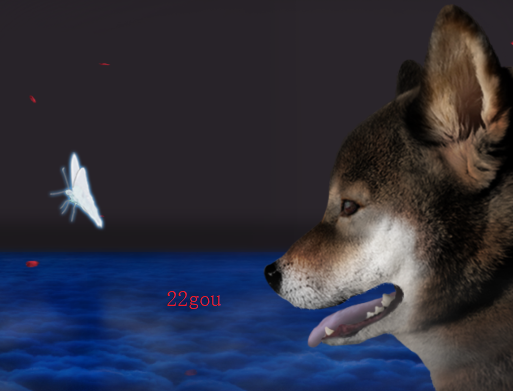 ղ湷ռǰ׿