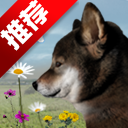 ղ湷ռǰ׿v1.0 °