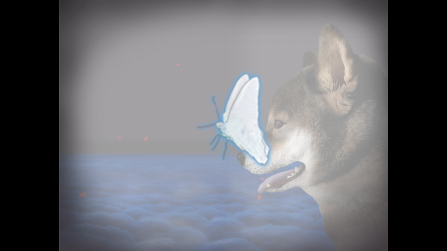ղ湷ռǰ׿v1.0 °ͼ1