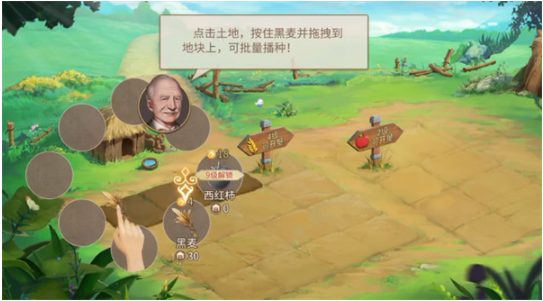 ׯ԰ʱ°