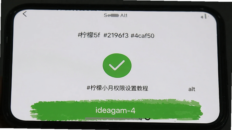 ideogram-4���ɣ�����Ϊ�ֻ����ý��棬��ʾ����С��AppȨ�޿���״̬������Ϊ��ɫ����ɫ����#f5f5f5 #2196f3 #4caf50���м�����ɫ�Թ�ͼ���ʾȨ���ѿ���alt=����С��Ȩ�����ý̳�
