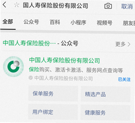 中国人寿财险保单查询界面