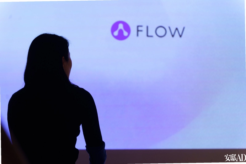 FLOW������26.08.10 ڤ��Ӧ�ý�ͼ3