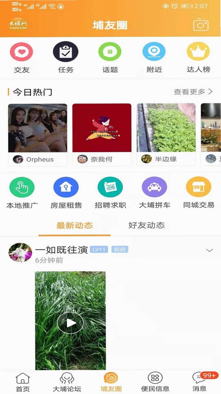 大埔网app特色功能界面截图
