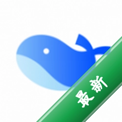 �ﾨLingoWhale